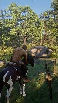 RTX 5060Ti Red Dead Redemption 2 Gameplay | Epic Wild West Adventure | RDR2 4K Ultra Realistic