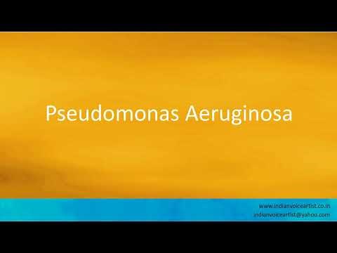 Pronunciation of the word(s) "Pseudomonas Aeruginosa".