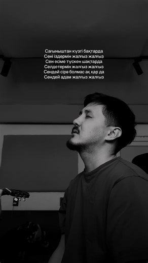 Жалғыз сен🥀 #voiceeffects #asset #cover