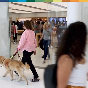 1K reactions · 88 shares | We’ve provided services to more than 17,000 people who are blind, yet we never charge a dime. That’s why we need this match! ❤️ | Leader Dogs for the Blind | Facebook