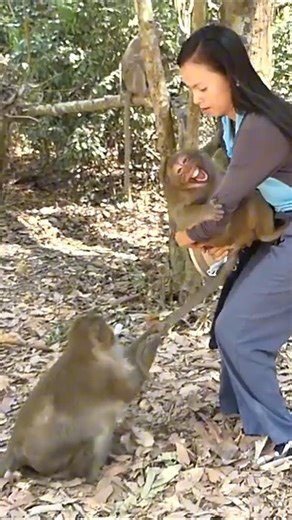 OMG! What happend to monkey ?😭😅 | Power Reel