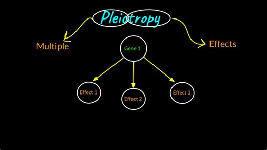 Pleiotropy