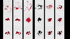 7.1K views · 26 reactions | Have you ever dreamed of being able to draw cartoons? Or wondered how movie blood is made? Or whether film can be made in more sustainable ways? Issue 5 of our print magazine Notebook is devoted to making and doing. Subscribe now at mubi.com/magazine | MUBI | Facebook