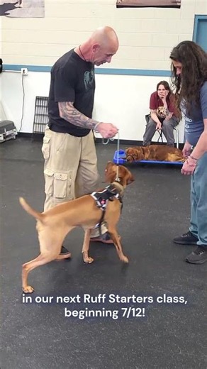 Ruff Starters is Our Basic Obedience Class. Achieve a Calmer Quality of Life with Your Dog!