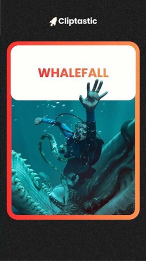 Whalefall Trailer | Austin Abrams Has One Hour to Escape a Sperm Whale's Stomach
