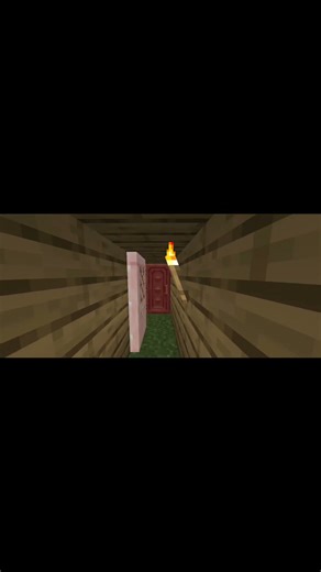 Secret doors in my craft ☠️❤️ #minecraft #memes #shorts #doors