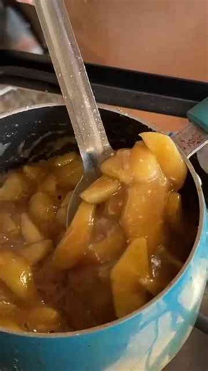 Apple Fried Pies