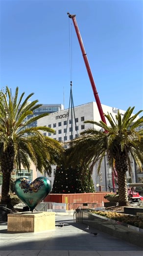 San Francisco just switched to holiday mode. 🎄✨ The Union Square Christmas tree is here, and the holiday season is officially underway in San Francisco. 👉 https://bit.ly/4igCV8v 📸 @415urbanadventures | San Francisco | The Official Guide