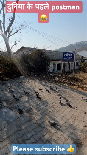 दुनिया का सबसे पुराने डाकिया🙂#shorts #love #nature #followforfollowback #music #song#trending