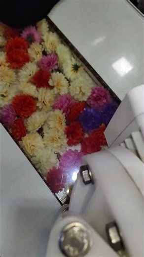 Aod Diaphragm Pump | Available on IndiaMART