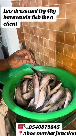 ✅Fried baraccuda fish for a client 🐟. Note: fried options are not readily available, they’re fried based on order. DM||CALL||WHATSAPP 0540878845 to order 📍AHOE MARKET JUNCTION #seafoodlovers😋💯🔥 #sea_foods #restaurant