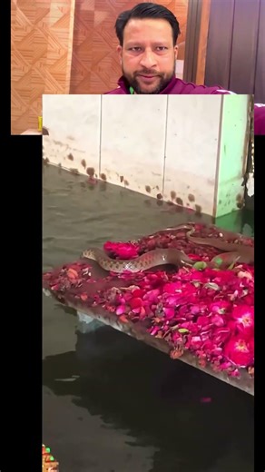 Pani wali dargah #❤️🙏💖#viralvideo #youtubeshorts #shorts #ytshorts #dua