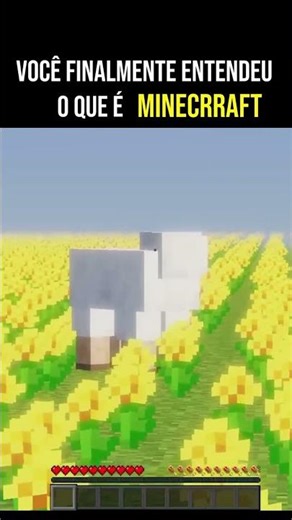 Você FINALMENTE entendeu o que é MINECRAFT Se inscreve!