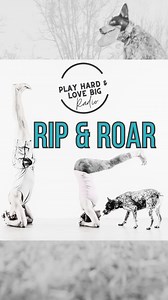 🚨 New Podcast Episode 🚨 Happiness is a SKILL | Nick Clark. Search & FOLLOW Play Hard Love Big Radio on all major podcast platforms INCLUDING YouTube! 🍿 😃 #folsomca #playhardlovebig @spotifyforpodcasters | Spotted Dog Yoga & SUP