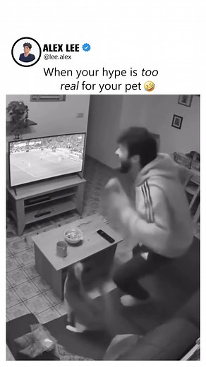 Man goes wild celebrating a goal—cat gets the fright of its life! | Alex Lee