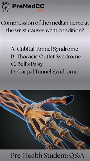 Answer on the comments ‼️ #premedcc #mcatprep #prehealthresources