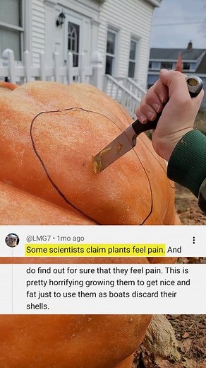 🎵 Hater Song #2: "Get a Hobby" #giantpumpkin #gardening #plants #farming #haters | Sarah Whitty