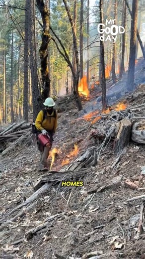 They’re Fighting Fire With Fire