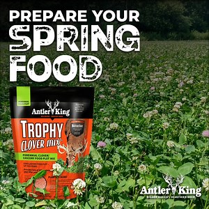 The Highest Protein and Tonnage-Producing Clover/Chicory Perennial Food Plot Mix on the Market. | Antler King Trophy Products Inc.