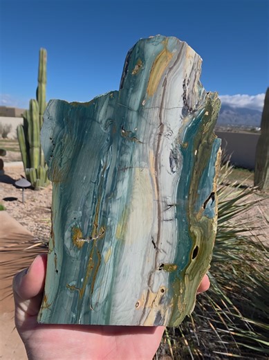 Exploring Oregon's Bog Wood Treasures