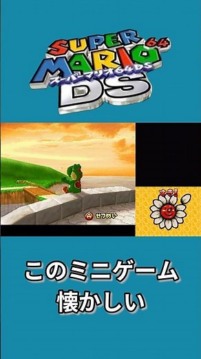 このミニゲーム懐かしい【スーパーマリオ64DS】