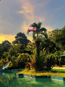 Christmas holiday Promo!!! 30 Pesos entrance fee for kids and students starting today. Reserve your spot now!!! | Fern Valley Cold Spring Resort