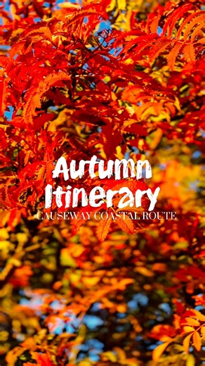 Who’s ready for an autumn adventure along the Causeway Coast & Glens? 🍁 From iconic landmarks to hidden gems, there’s no better time to explore scenic spots and outdoor experiences across the region 🍃 Find even more inspiration on our website and save this post to start planning your autumn road trip 📲 | Visit Causeway Coast and Glens