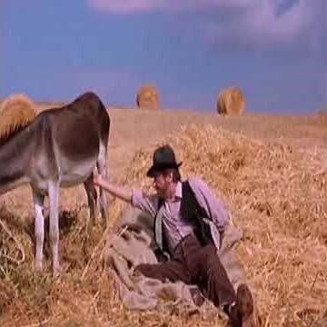 Telling time by touching donkeys balls