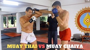 21K views · 791 reactions | In this episode, I visit Pedro Solana in...