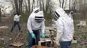 Watch Xploration Earth 2050 Season 2 Episode 3 - Future Urban Farming