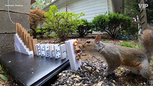 15 reactions | 헔헻 헜헻혁헿헶헰헮혁헲 헥혂헯헲 헚헼헹헱헯헲헿헴 헖헵헮헶헻 헥헲헮헰혁헶헼헻 헠헮헰헵헶헻헲 헧헵헮혁...