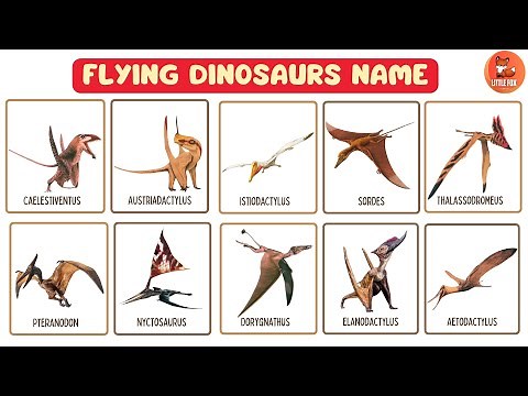 Flashcard - 50 Flying Dinosaurs Name in English for Toddlers #kidslearning #dinosaur #dinosaurs