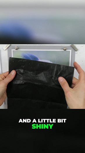 #pastelpainting | Jason Morgan Wildlife Art