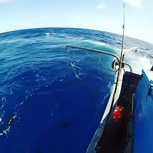 Tuna slow trolling