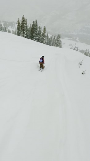 14K views · 126 reactions | The women of #RedBullCascade put on an absolute show at Solitude Mountain last week... Here are a few of our favorite moments! Svea Irving took home the best individual women's skier award  | Red Bull Snow | Facebook