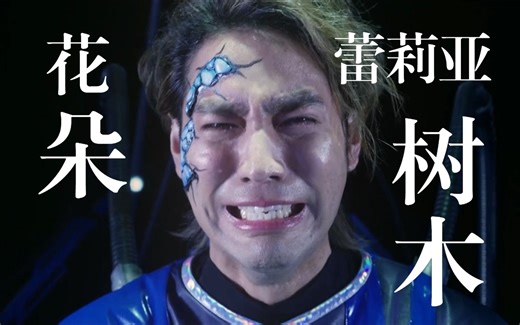 【中文配音】花朵樹木天空微風雲彩太陽彩虹大海海邊森林石頭砂粒大地