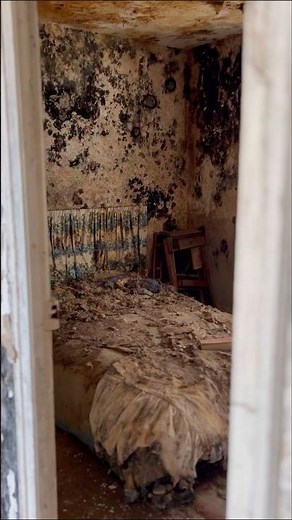 DEADLY Black Mold Takes Over Abandoned Home