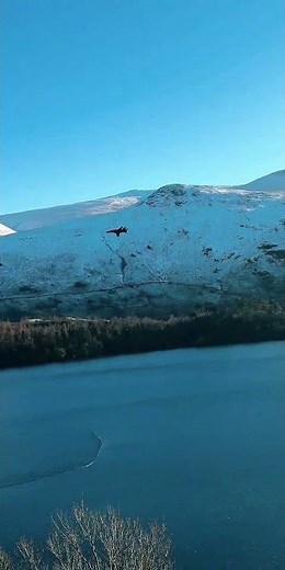 LFA17 Low Flying Area - BAE Systems Hawk T2 Through Thirlmere #militaryaviation #baehawk #fyp