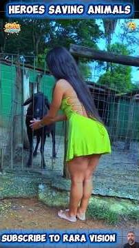 Heroes Saving Animals in Real-Life Rescues 🐾 | Part 23 ❤️