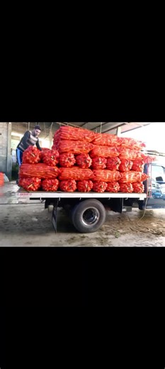 Samuel Antonio Ceballos Bastos on TikTok