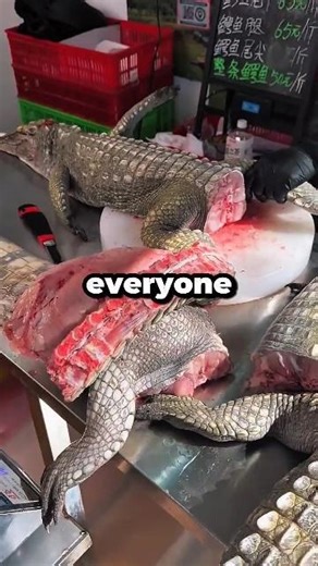 Teachers, what's the FUNNIEST SCIENCE project you've ever SEEN?