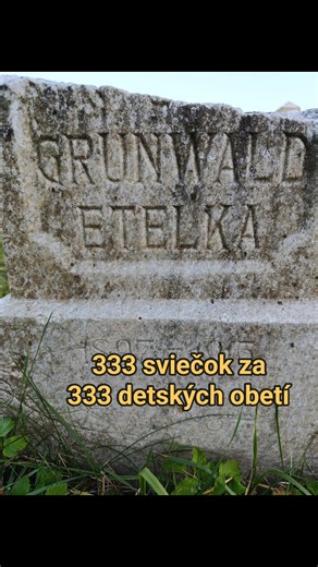 OZ Pro Memory on Reels