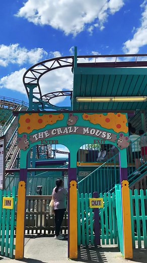 Thrilling Roller Coaster Ride Experience at Amusement Park