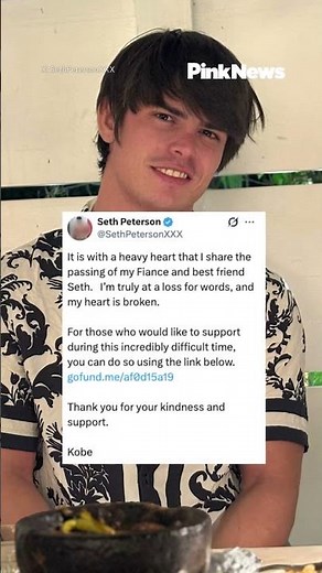 Adult film performer Seth Peterson has reportedly died aged 28 after being found at his home in Los