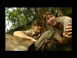 The Crocodile Hunter - Best Of Steve Irwin - S03 E01