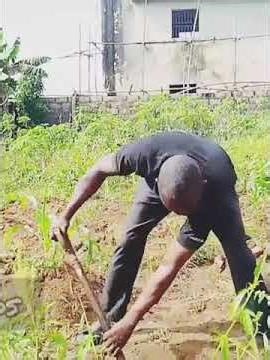 How to Plant Coconut (Whole Fruit) 🌴 Fast & Easy Guide