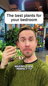 651K views · 9.9K reactions | The best plants for your bedroom | The Michael Griffiths | Facebook