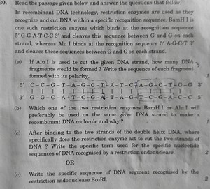 Read the passage given below and answer the questions that foll... | Filo