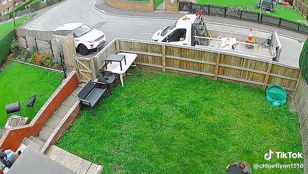 Funny Puppy Moment: Eating Poop at Nanna's House