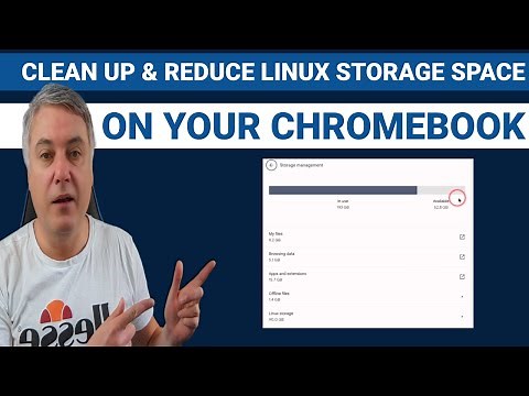 How to clean up and reduce Linux Storage space on your Chromebook
